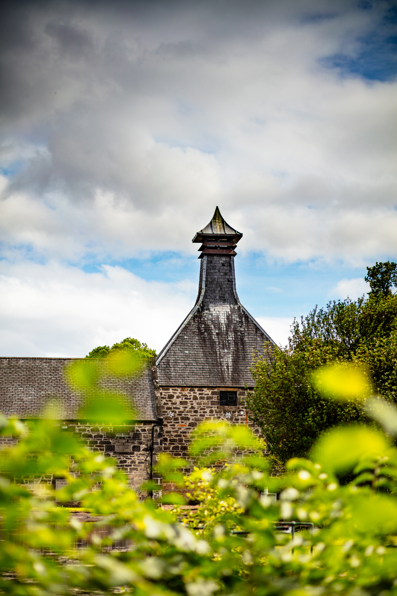 Linkwood whisky scotland