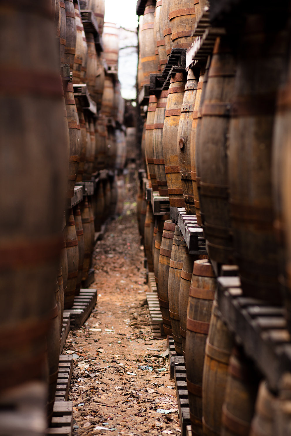 scotch whisky distillery